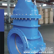 Ductile or Cast Iron Non Rising Stem Gate Valve